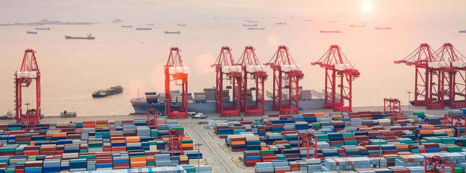 Container yard handling high volumes of palletized freight